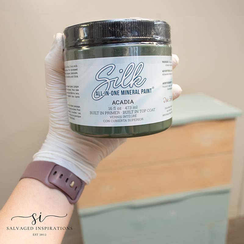 Dixie Belle Paint Silk Mineral Paint in Acadia