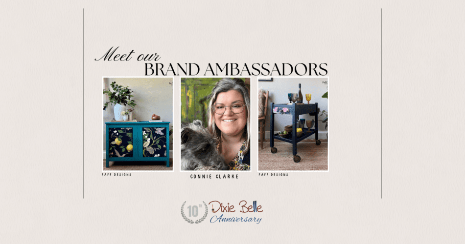 Belle Brand Ambassador Blog Image