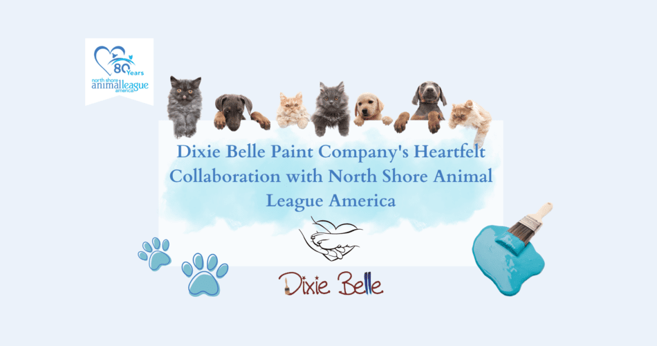 A row of cats and dogs are hanging over a white rectangular box with the title of the blog printed on the white box in blue print. Blue paint is behind the words. The North Shore Animal League America logo is in the upper left corner of the page. Two teal paw prints are on the lower left corner of the white box. A heart with a hand holding a paw is centered below the words. A teal paint puddle with a a paint brush in it is on the lower right corner of the white box. The Dixie Belle logo is centered beneath the white box.