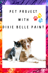 A multi-colored painted background with a white box on top of it. Inside the white box reads PET PROJECT WITH DIXIE BELLE PAINT. 3 painted paw prints, red, yellow and blue are next to the print, and a black & white cat and brown & white dog sit on the floor below the printed words.